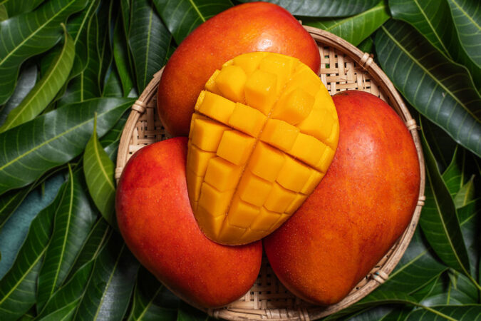 Exportación de Mangos [Versión Studio]