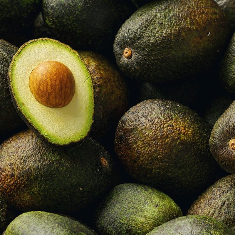 palta